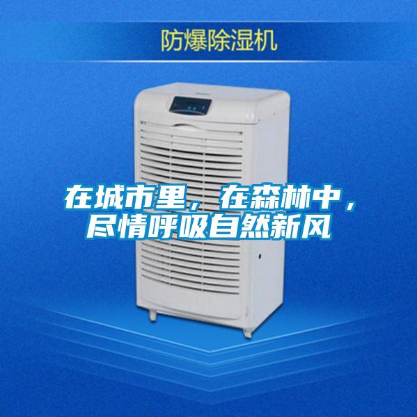 在城市里，在森林中，盡情呼吸自然新風(fēng)