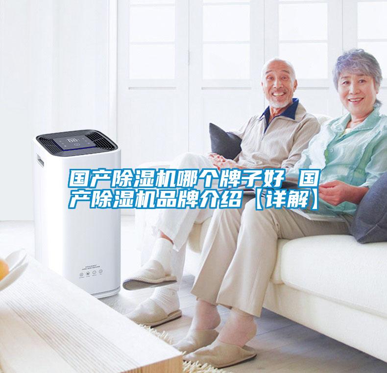 國產(chǎn)除濕機哪個(gè)牌子好 國產(chǎn)除濕機品牌介紹【詳解】
