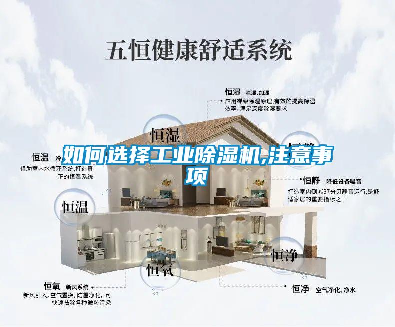 如何選擇工業(yè)除濕機,注意事項