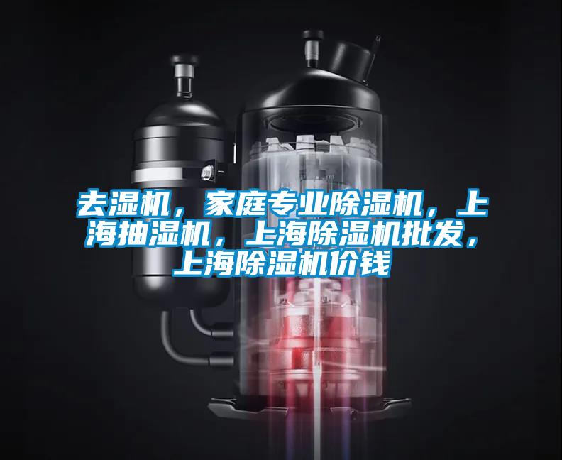 去濕機，家庭專(zhuān)業(yè)除濕機，上海抽濕機，上海除濕機批發(fā)，上海除濕機價(jià)錢(qián)