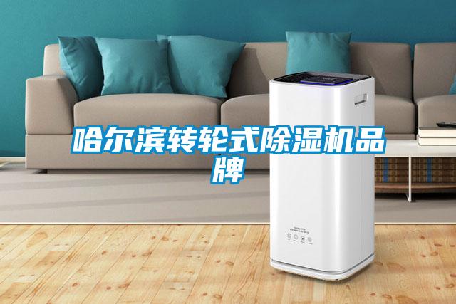 哈爾濱轉輪式除濕機品牌