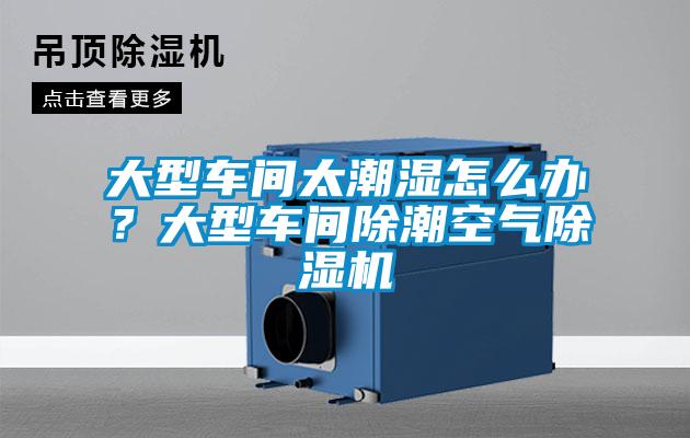 大型車(chē)間太潮濕怎么辦？大型車(chē)間除潮空氣除濕機