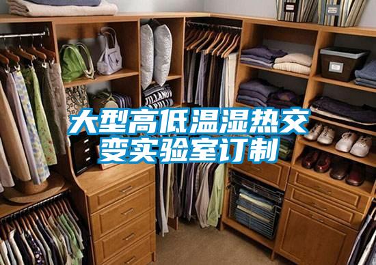 大型高低溫濕熱交變實(shí)驗室訂制