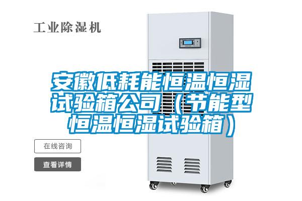 安徽低耗能恒溫恒濕試驗箱公司（節能型恒溫恒濕試驗箱）