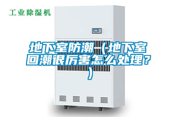 地下室防潮（地下室回潮很厲害怎么處理？）