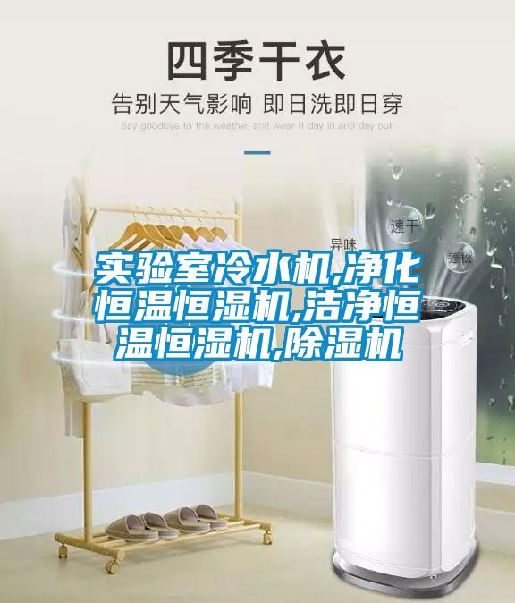 實(shí)驗室冷水機,凈化恒溫恒濕機,潔凈恒溫恒濕機,除濕機