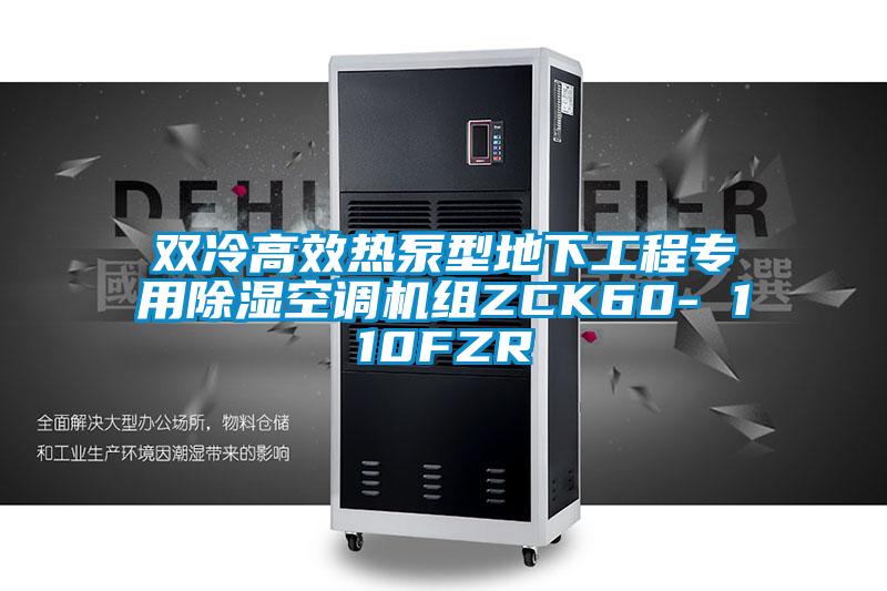 雙冷高效熱泵型地下工程專(zhuān)用除濕空調機組ZCK60- 110FZR