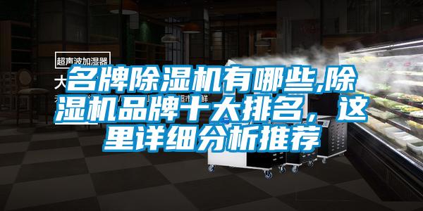 名牌除濕機有哪些,除濕機品牌十大排名，這里詳細分析推薦