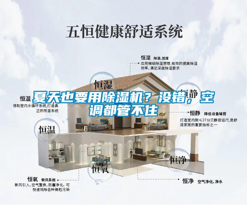 夏天也要用除濕機？沒(méi)錯，空調都管不住