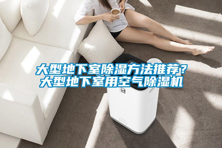大型地下室除濕方法推薦？大型地下室用空氣除濕機