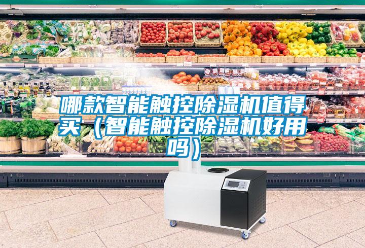 哪款智能觸控除濕機值得買(mǎi)（智能觸控除濕機好用嗎）