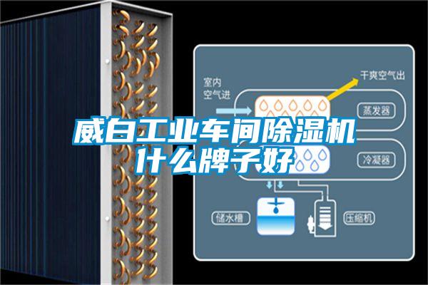 威白工業(yè)車(chē)間除濕機什么牌子好