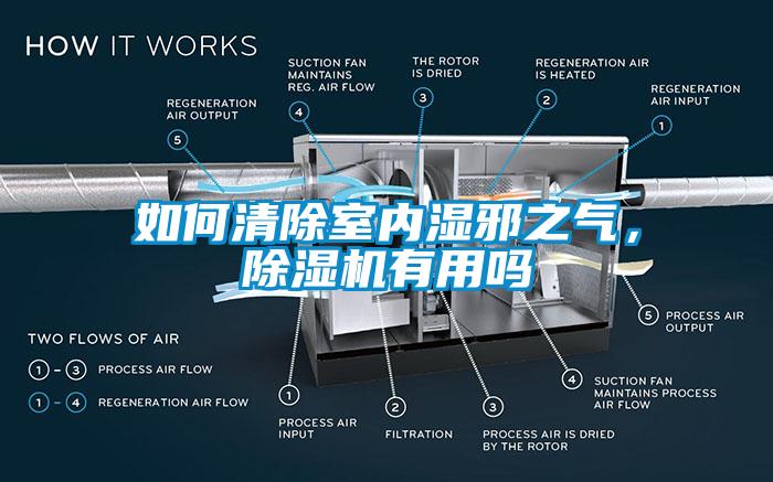 如何清除室內濕邪之氣，除濕機有用嗎