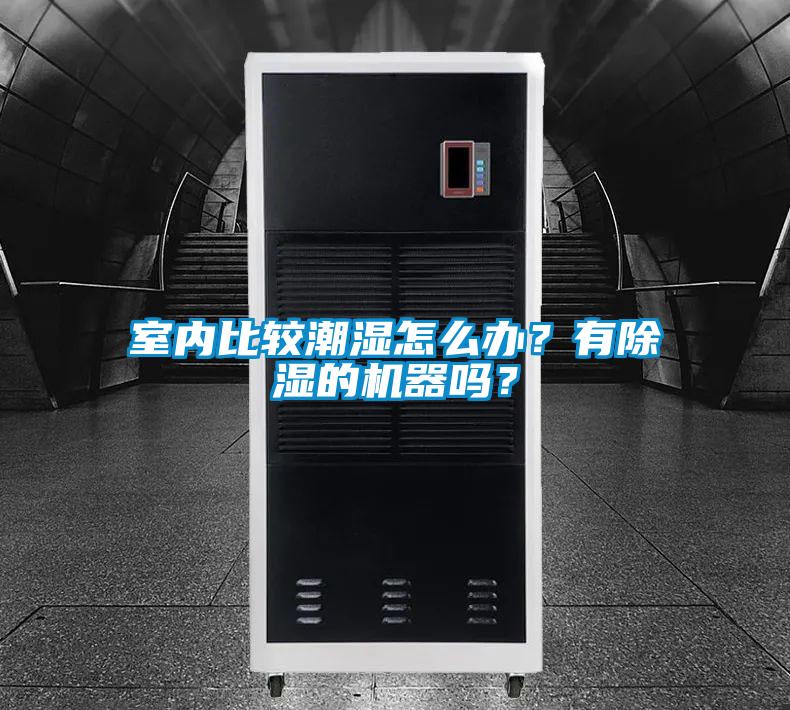 室內比較潮濕怎么辦？有除濕的機器嗎？