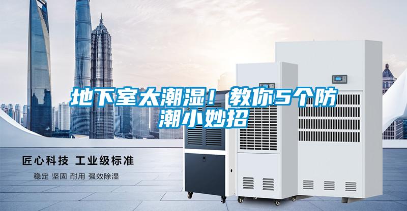 地下室太潮濕！教你5個(gè)防潮小妙招