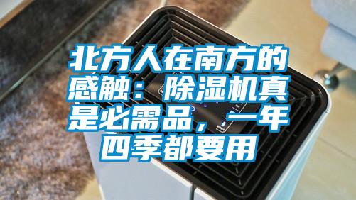 北方人在南方的感觸：除濕機真是必需品，一年四季都要用