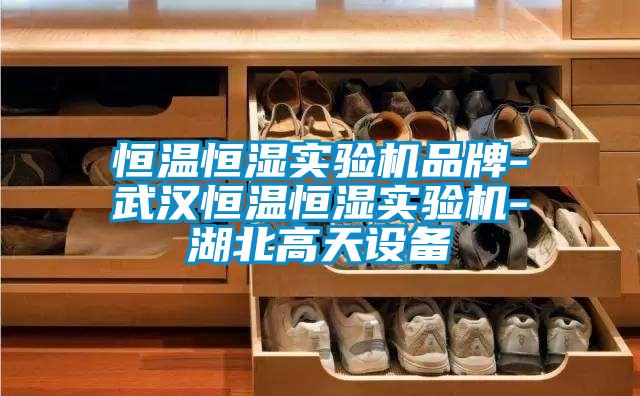 恒溫恒濕實(shí)驗機品牌-武漢恒溫恒濕實(shí)驗機-湖北高天設備