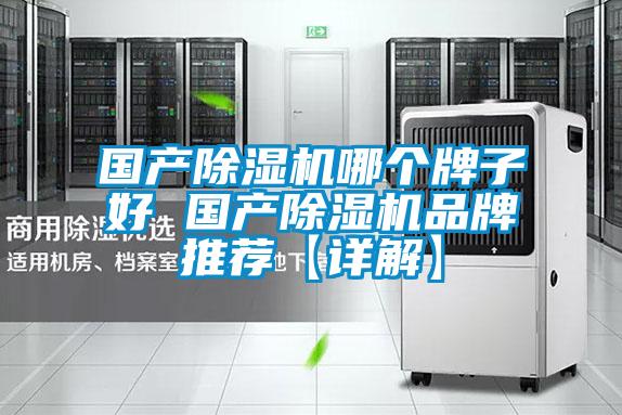 國產(chǎn)除濕機哪個(gè)牌子好 國產(chǎn)除濕機品牌推薦【詳解】