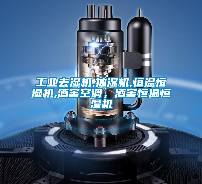 工業(yè)去濕機,抽濕機,恒溫恒濕機,酒窖空調，酒窖恒溫恒濕機