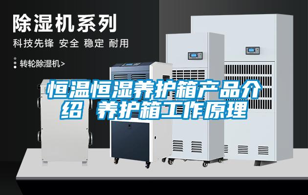 恒溫恒濕養護箱產(chǎn)品介紹 養護箱工作原理