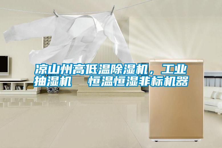 涼山州高低溫除濕機，工業(yè)抽濕機  恒溫恒濕非標機器