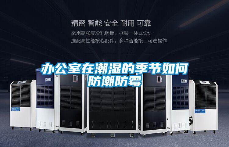 辦公室在潮濕的季節如何防潮防霉