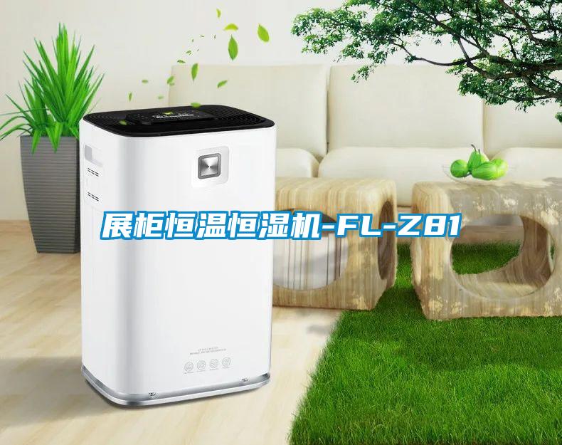 展柜恒溫恒濕機-FL-Z81