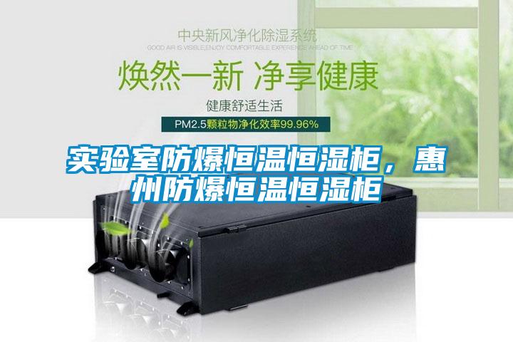 實(shí)驗室防爆恒溫恒濕柜，惠州防爆恒溫恒濕柜