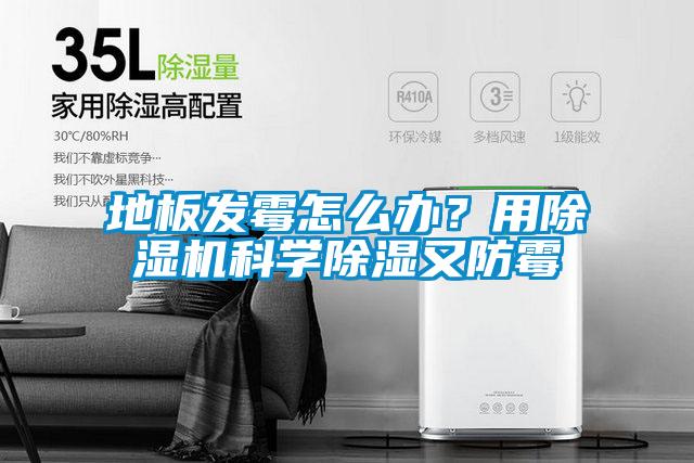 地板發(fā)霉怎么辦？用除濕機科學(xué)除濕又防霉