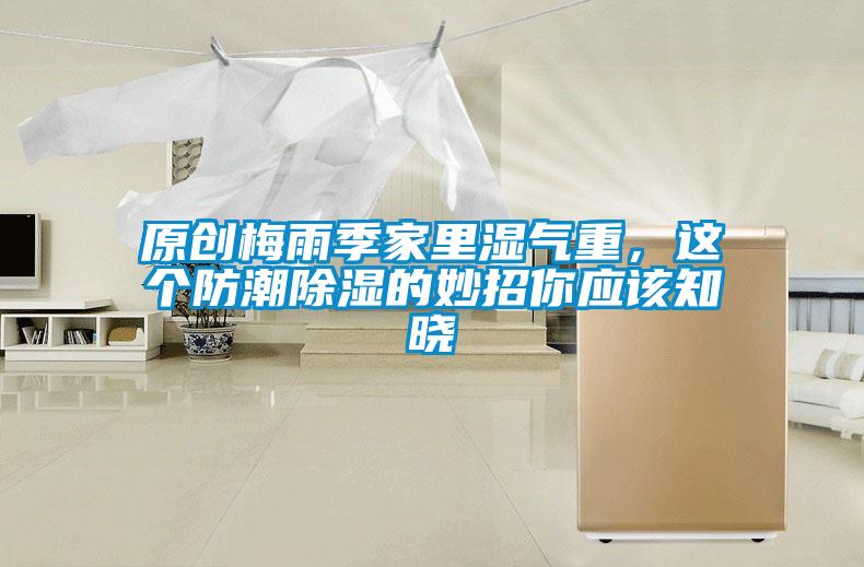 原創(chuàng  )梅雨季家里濕氣重，這個(gè)防潮除濕的妙招你應該知曉