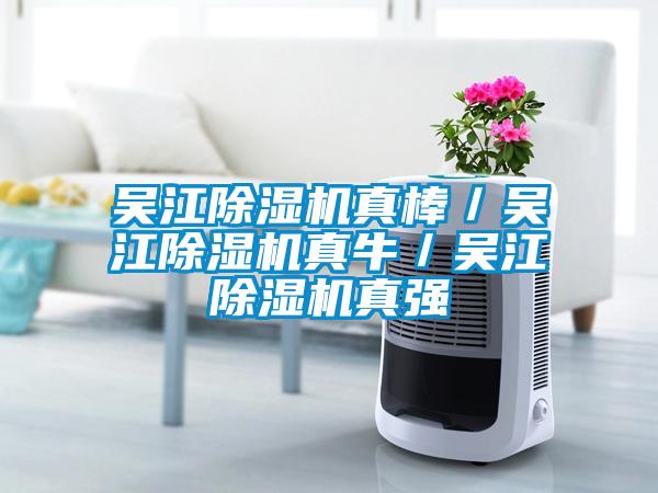 吳江除濕機真棒／吳江除濕機真牛／吳江除濕機真強