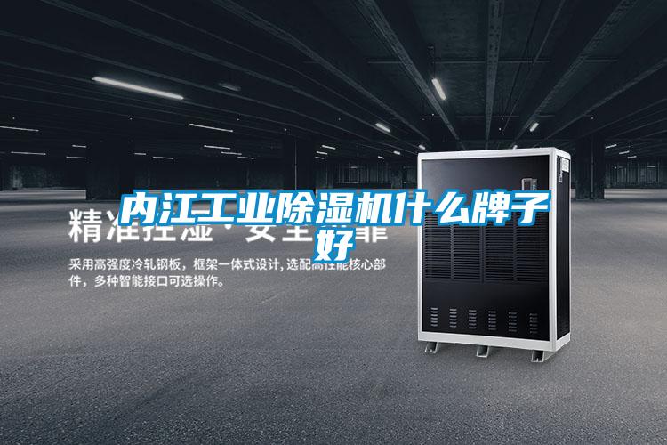 內江工業(yè)除濕機什么牌子好