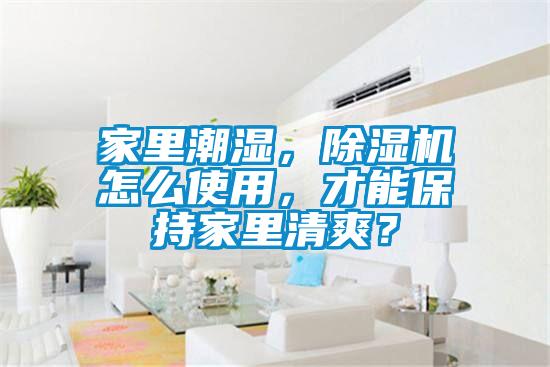 家里潮濕，除濕機怎么使用，才能保持家里清爽？