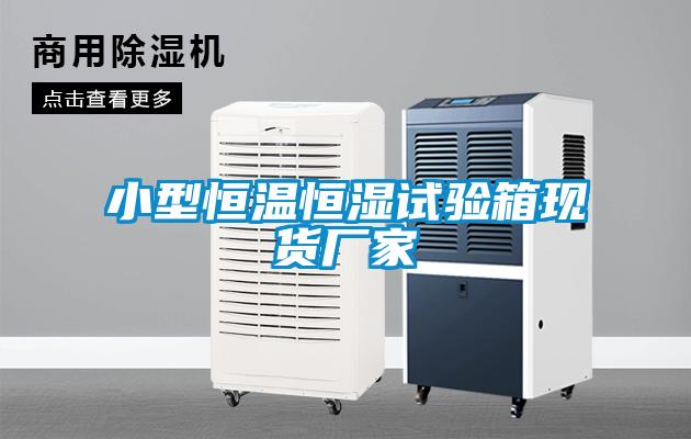 小型恒溫恒濕試驗箱現貨廠(chǎng)家