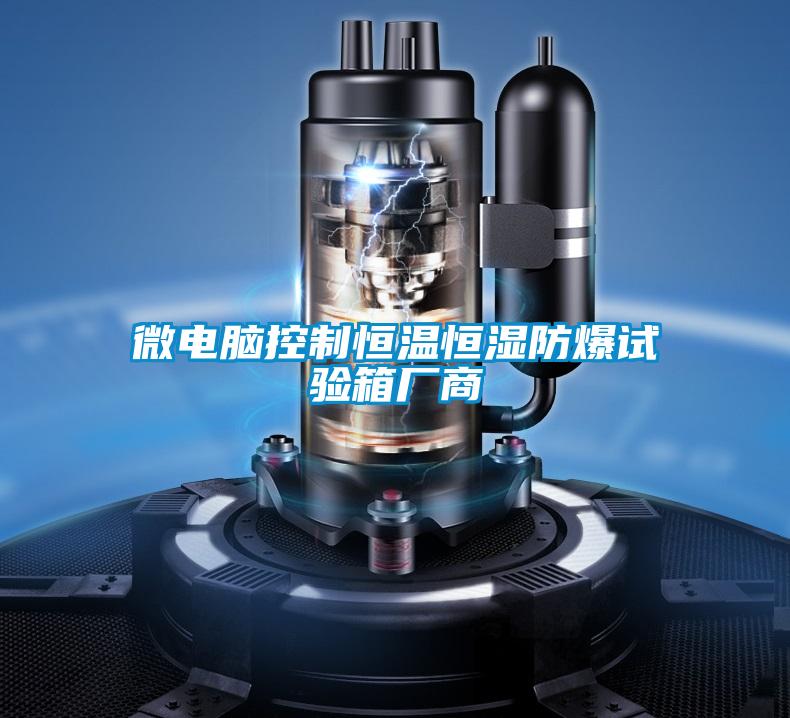 微電腦控制恒溫恒濕防爆試驗箱廠(chǎng)商