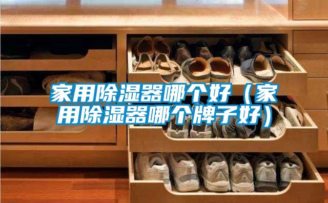 家用除濕器哪個(gè)好（家用除濕器哪個(gè)牌子好）