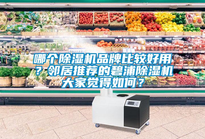 哪個(gè)除濕機品牌比較好用？鄰居推薦的碧浦除濕機大家覺(jué)得如何？