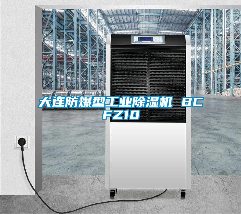 大連防爆型工業(yè)除濕機 BCFZ10