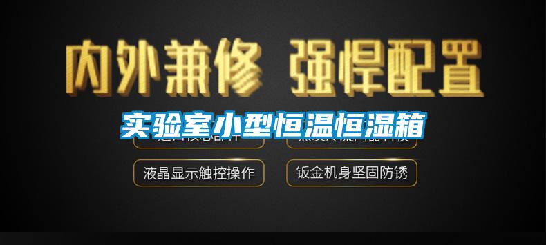 實(shí)驗室小型恒溫恒濕箱