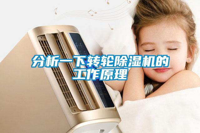 分析一下轉輪除濕機的工作原理