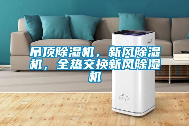 吊頂除濕機，新風(fēng)除濕機，全熱交換新風(fēng)除濕機