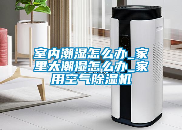 室內潮濕怎么辦_家里太潮濕怎么辦_家用空氣除濕機