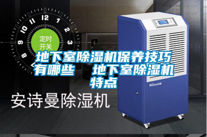 地下室除濕機保養技巧有哪些  地下室除濕機特點(diǎn)