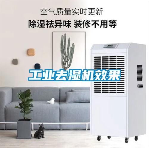 工業(yè)去濕機效果