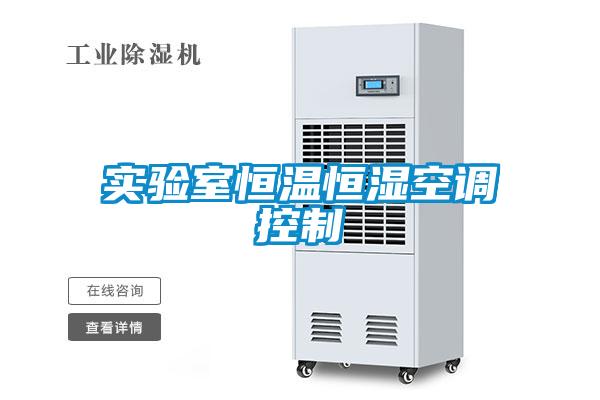 實(shí)驗室恒溫恒濕空調控制