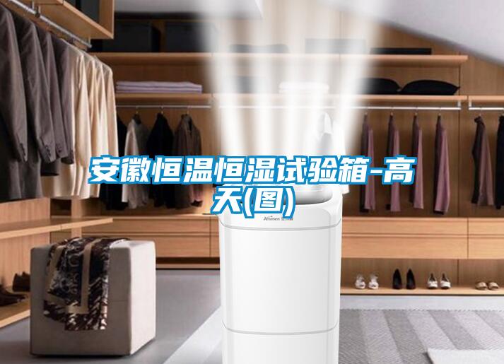 安徽恒溫恒濕試驗箱-高天(圖)