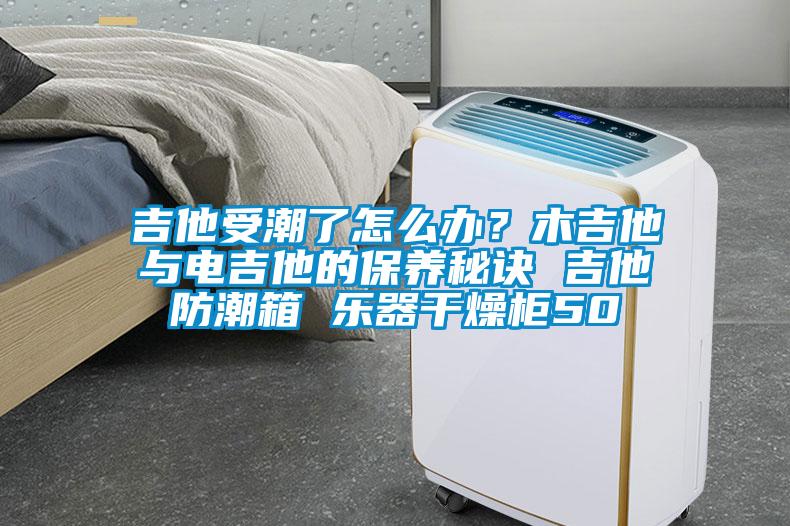 吉他受潮了怎么辦？木吉他與電吉他的保養秘訣 吉他防潮箱 樂(lè )器干燥柜50