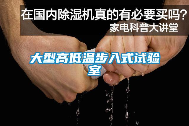 大型高低溫步入式試驗室
