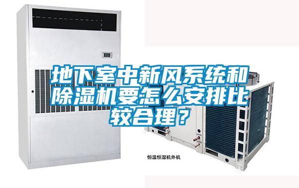 地下室中新風(fēng)系統和除濕機要怎么安排比較合理？