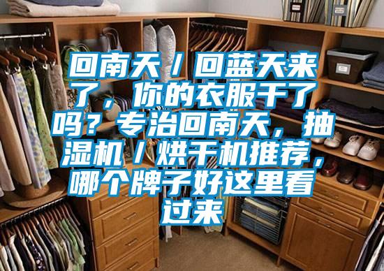 回南天／回藍天來(lái)了，你的衣服干了嗎？專(zhuān)治回南天，抽濕機／烘干機推薦，哪個(gè)牌子好這里看過(guò)來(lái)